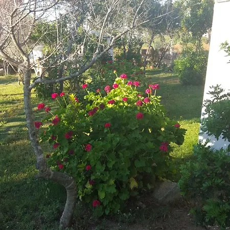 Casa vacanze Residenze Soledade